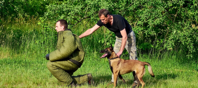 agression-training-img