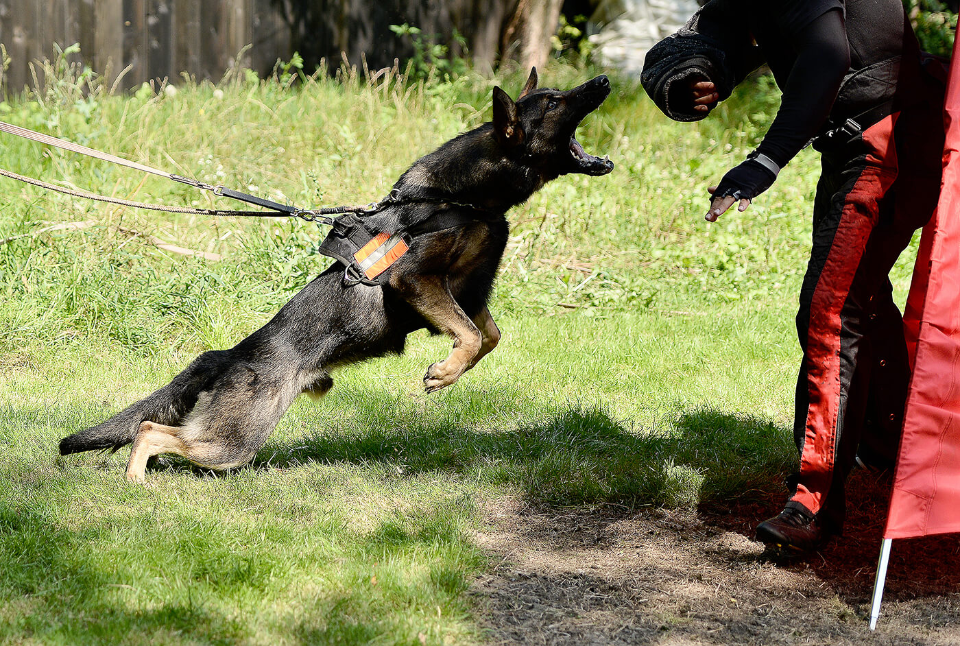Behavior Modification