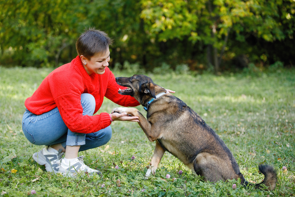 Impulse Control Dog Training: Teaching Your Dog To Make Better Choices