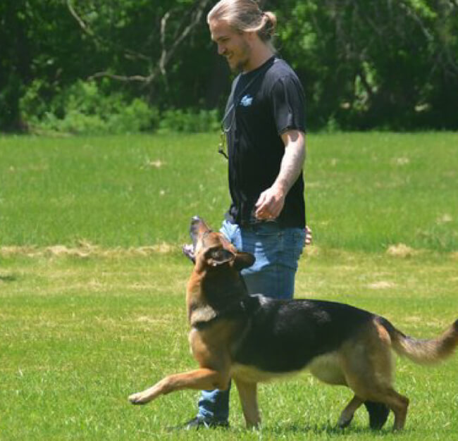 Trusted Partner for Dog Training Img